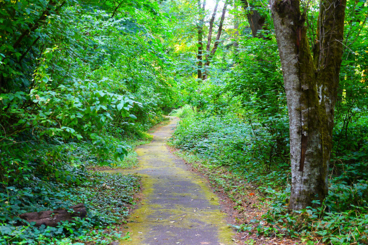 Paved path