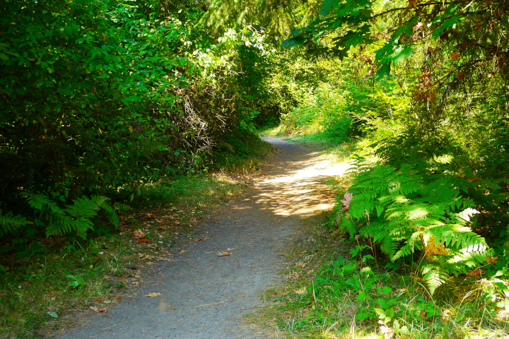 Double-wide trail