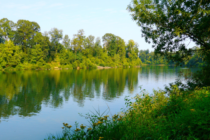 View of the
          Willamette River from the Trail